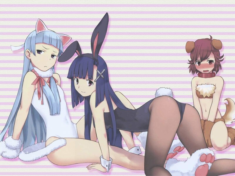three girls in animal costumes