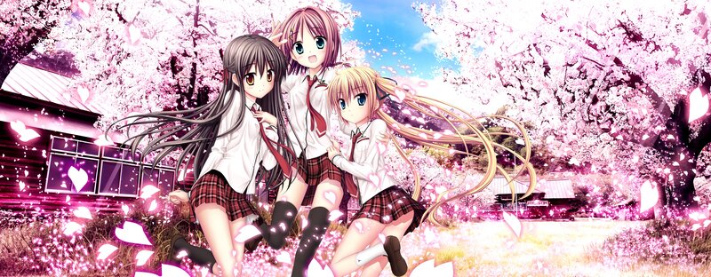 Three girls in school uniforms under cherry blossoms