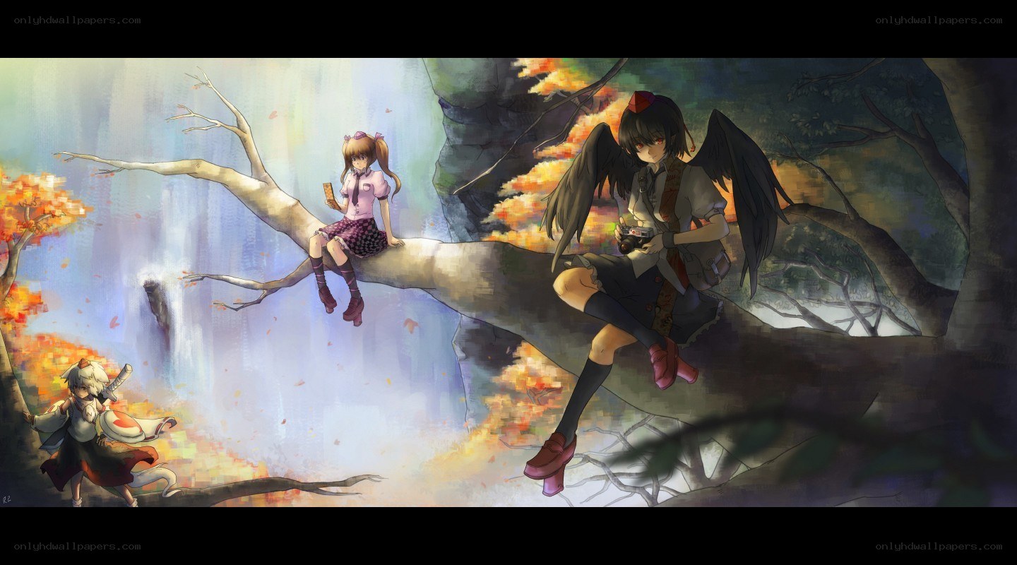 Three girls on a tree branch