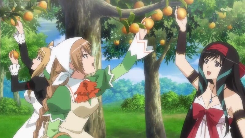 Three Girls Picking Fruit