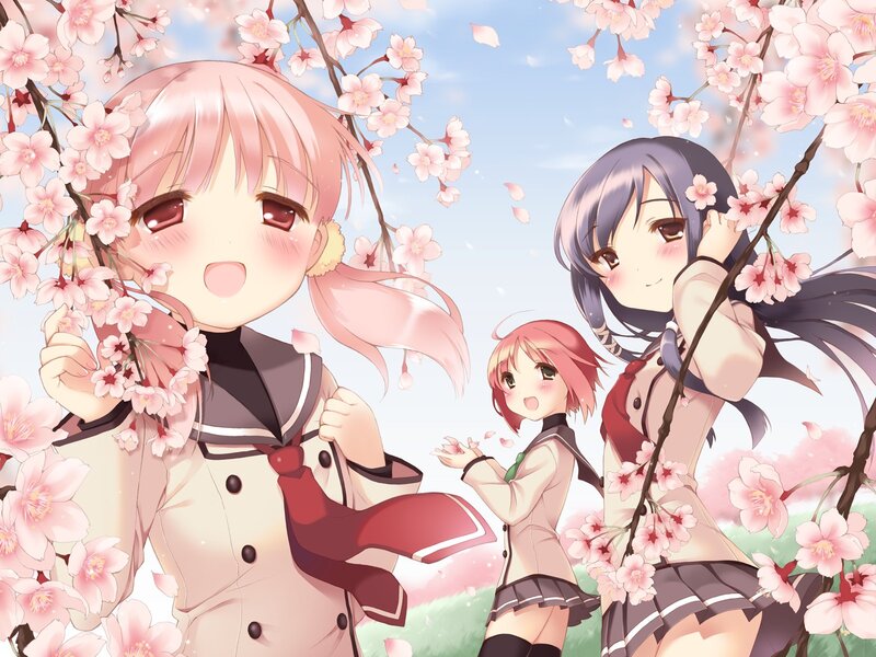 Three Girls under Cherry Blossoms — Pink, Serene, Spring, Anime