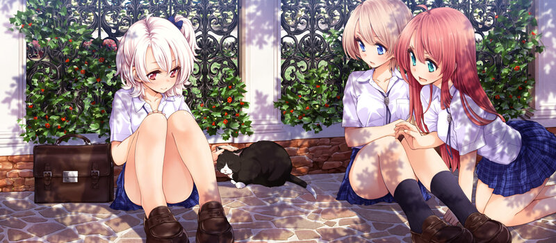 Three Girls with a Cat — White, Calm