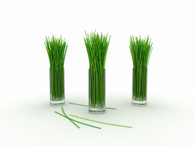 three glass vases with green grass