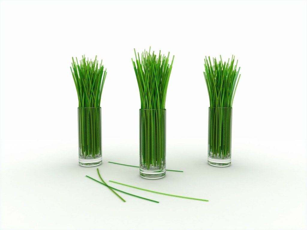 three glass vases with green grass