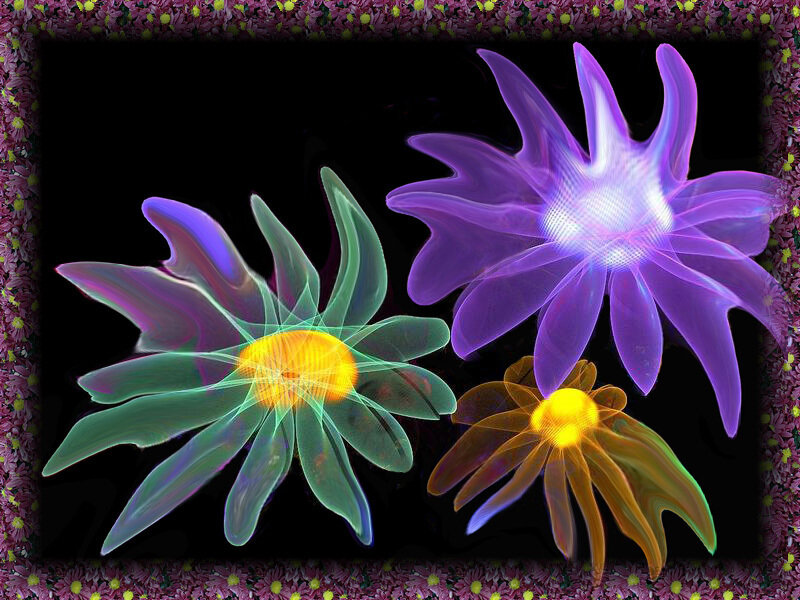 Three Glowing Flowers — Purple