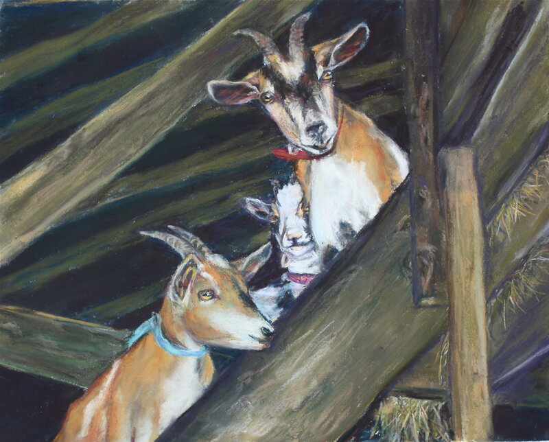 Three Goats in Barn
