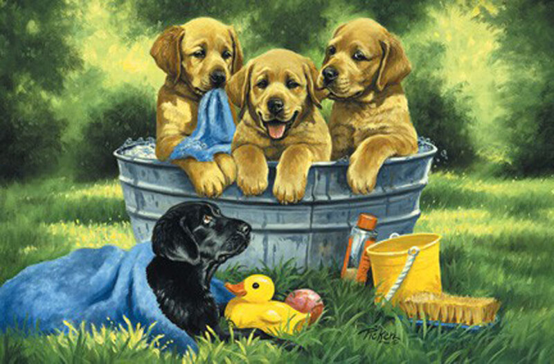 Three Golden Puppies — Green, Playful, Afternoon