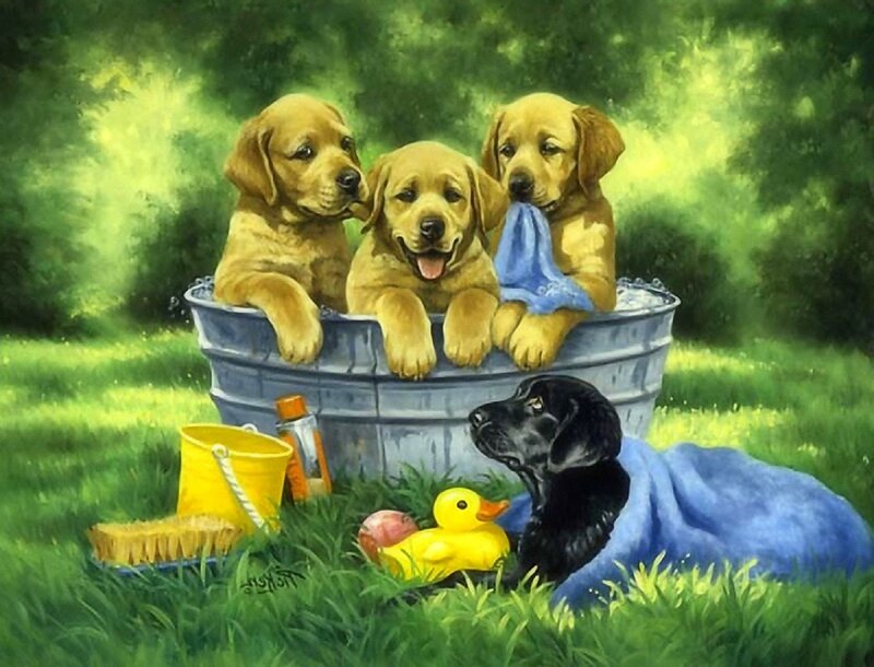 Three Golden Puppies — Green, Playful
