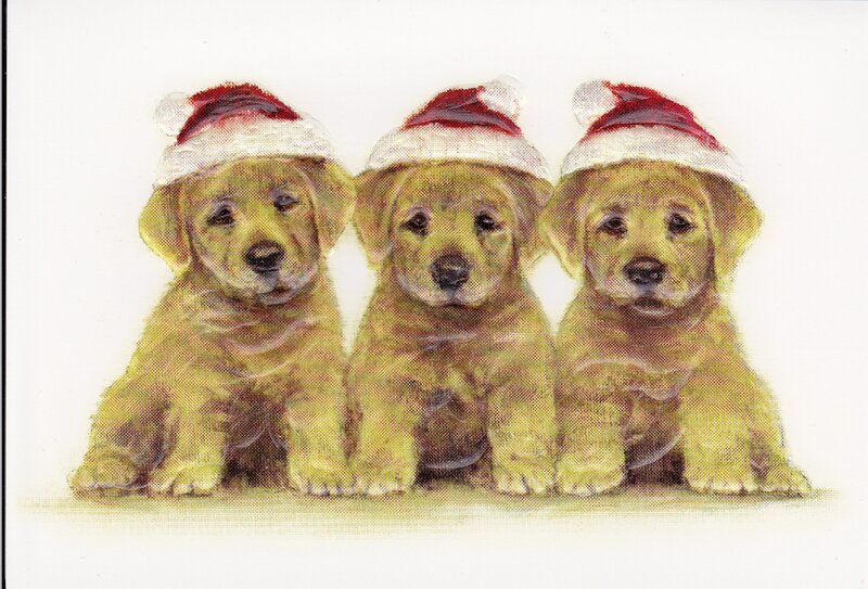 Three Golden Retriever Puppies — Yellow, Festive