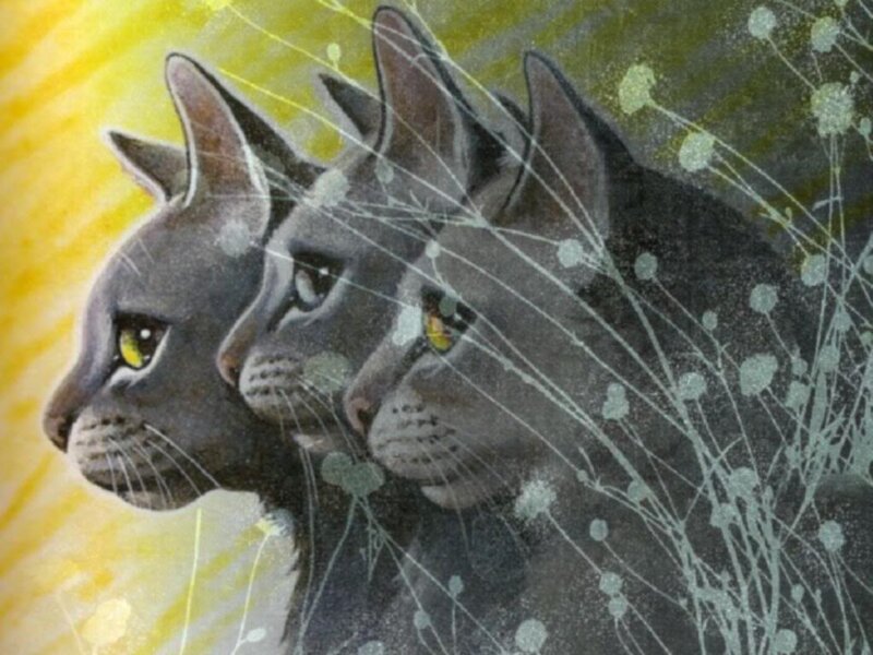 Three Gray Cats