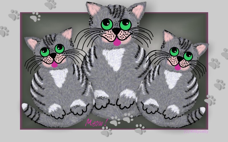 Three Gray Tabby Cats
