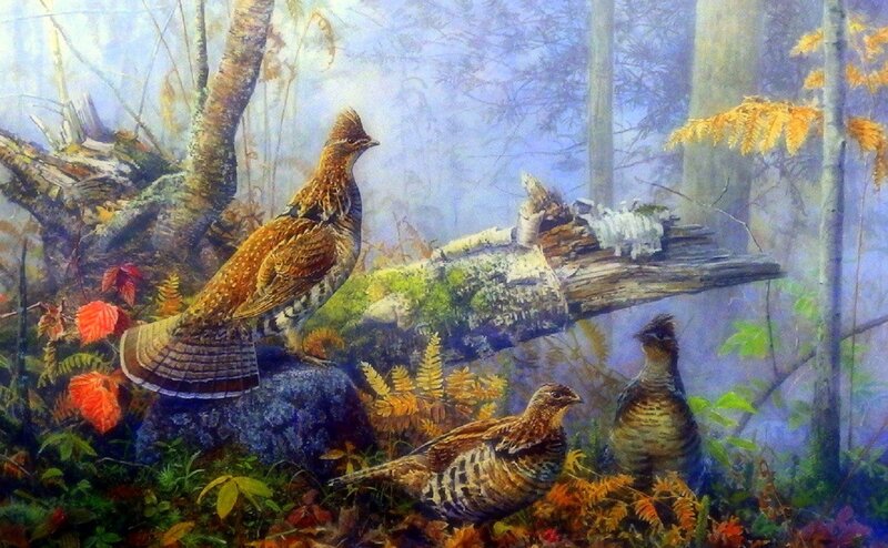 Three Grouse in Forest