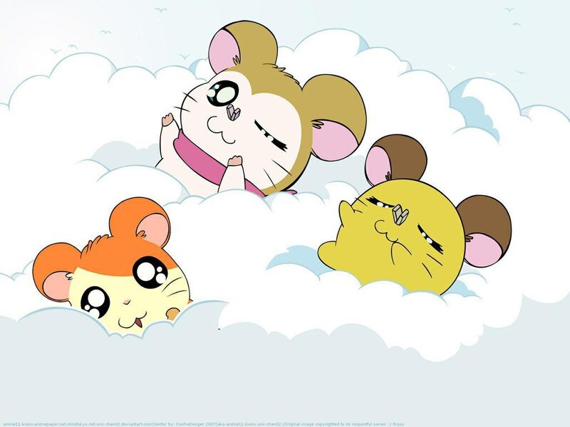 Three Hamsters in Clouds