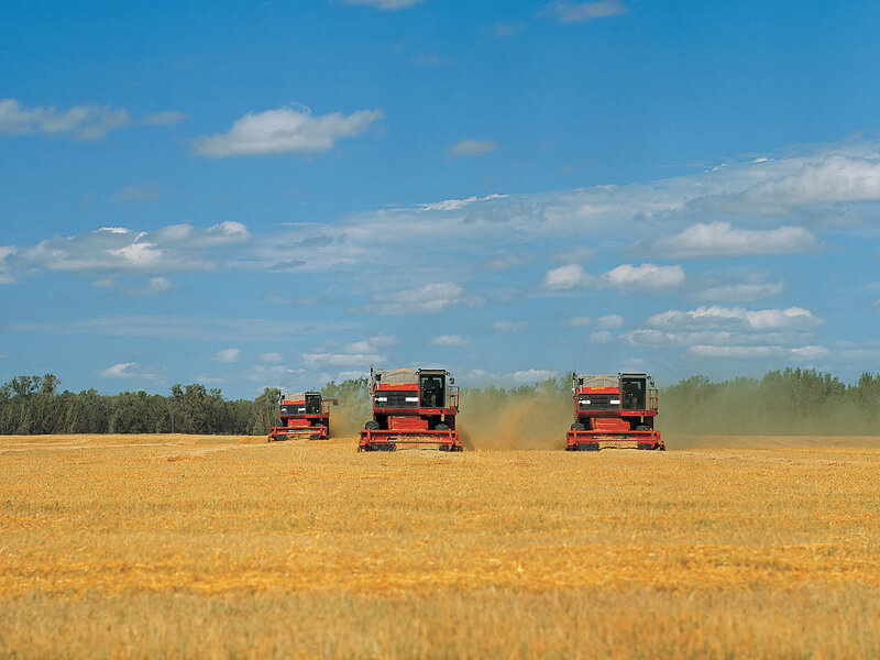Three Harvesters in Field