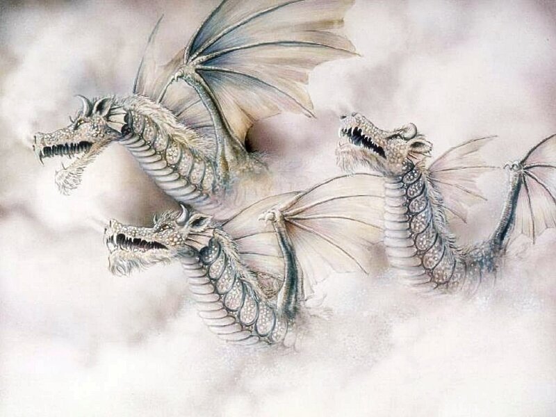 Three-headed Dragon — White, Dramatic, Illustration, Wings