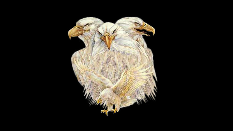 three-headed eagle illustration