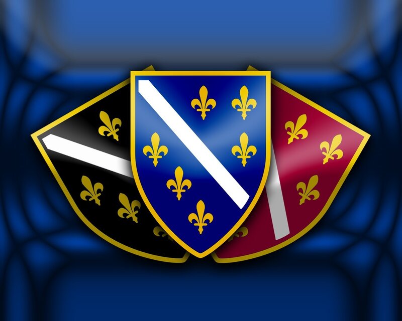 Three heraldic shields with fleur-de-lis