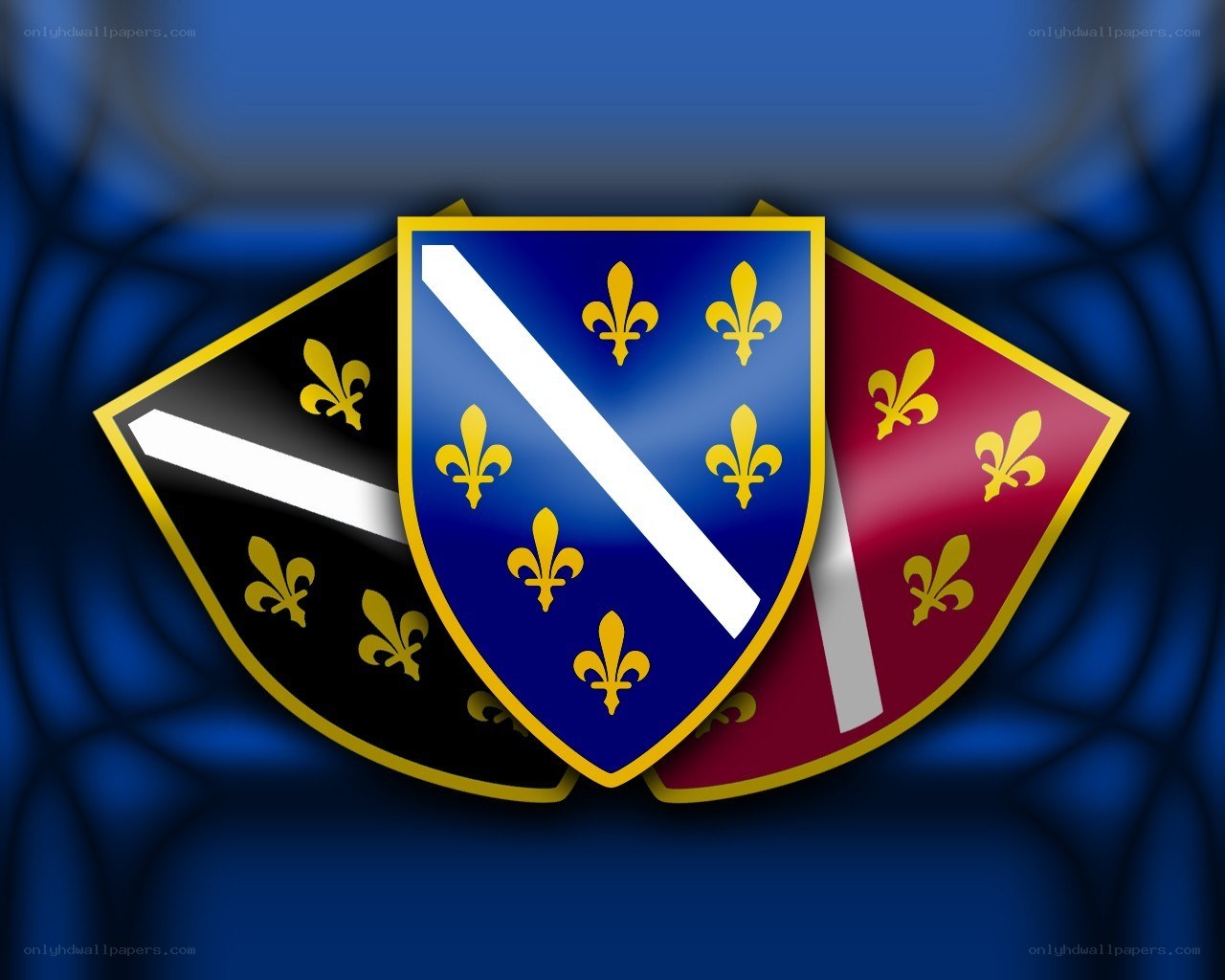 Three heraldic shields with fleur-de-lis