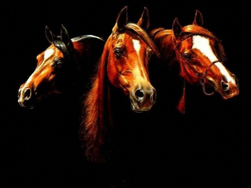 Three Horse Heads