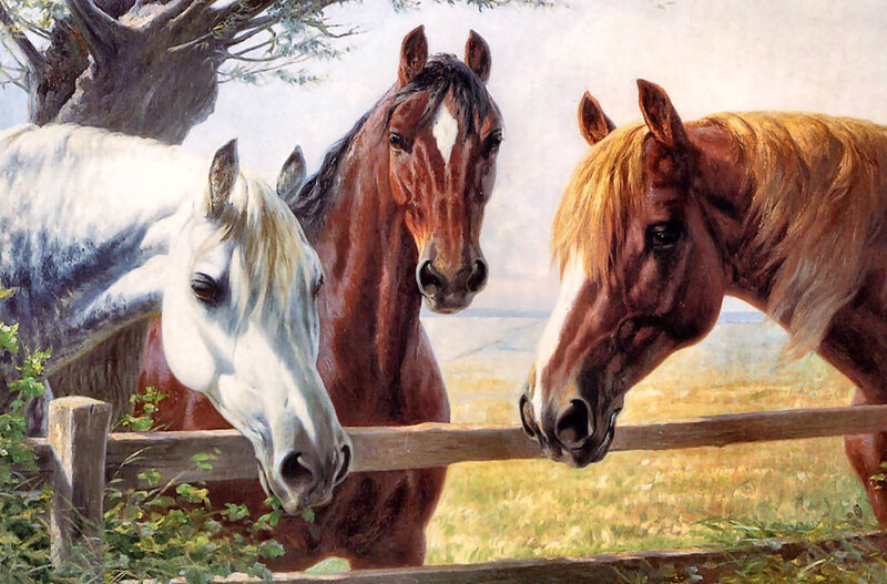 Three Horses at Fence — Brown, Calm, Afternoon
