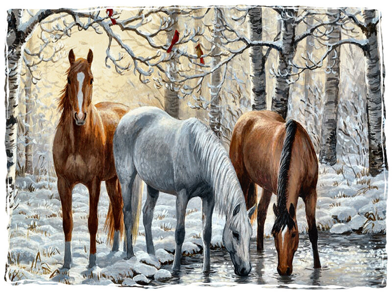 Three Horses Drinking
