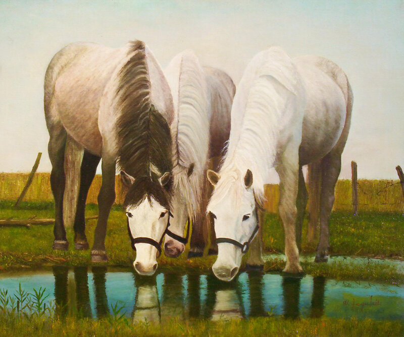 Three horses drinking water