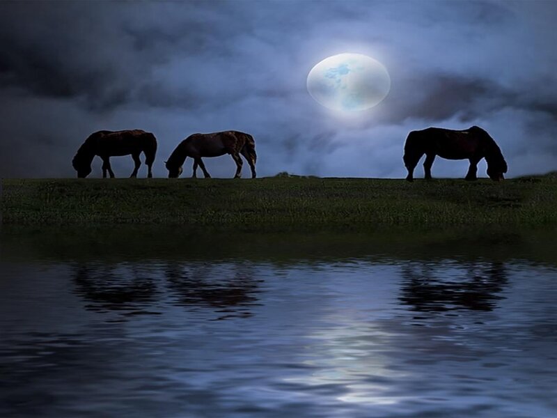 Three Horses Grazing — Blue, Serene