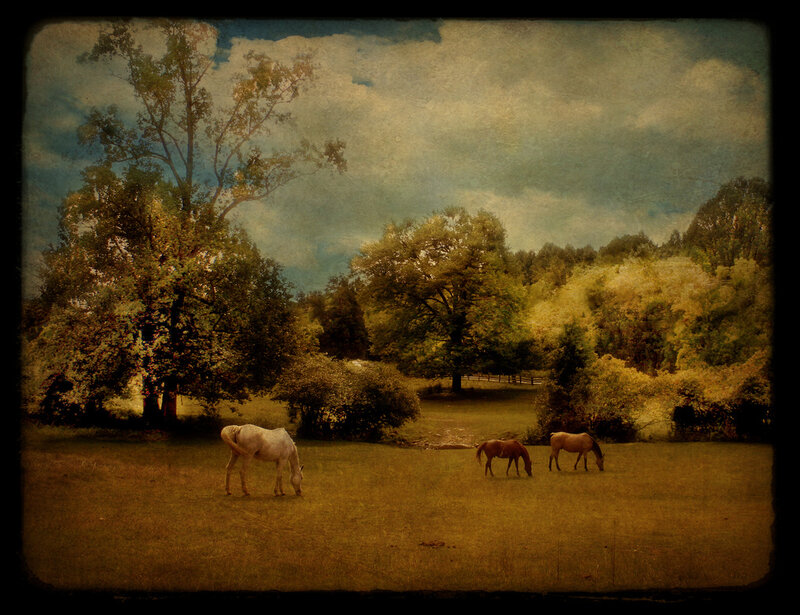 Three Horses Grazing — Green