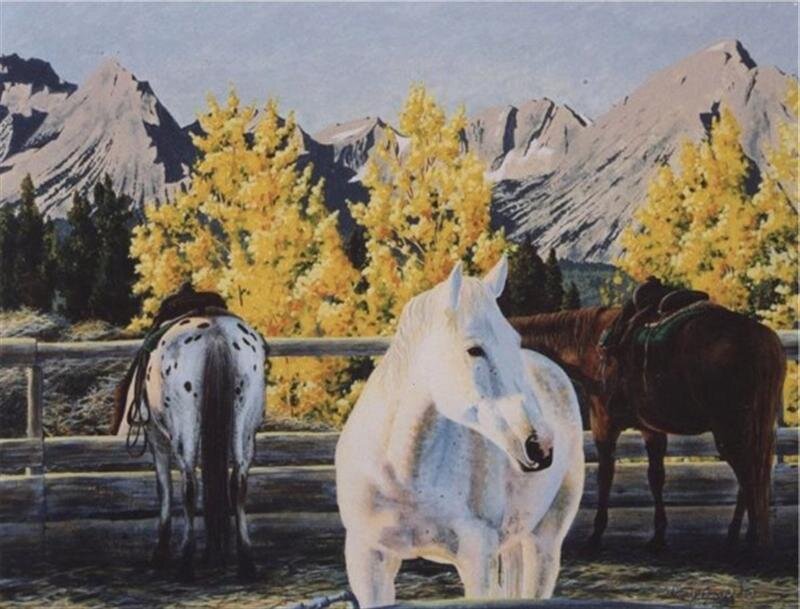 Three Horses in a Paddock