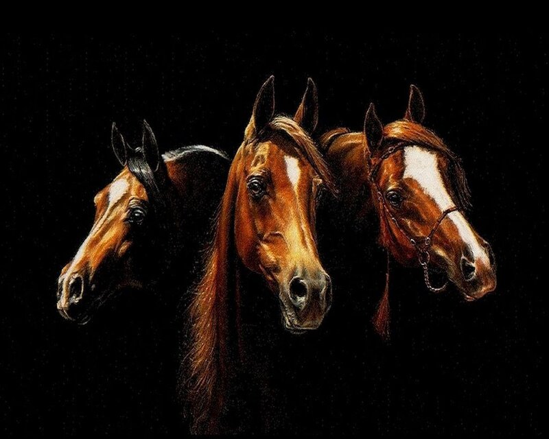 Three Horses in Darkness