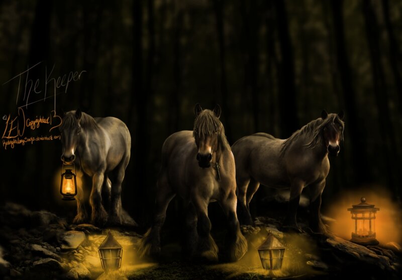 Three Horses in Forest