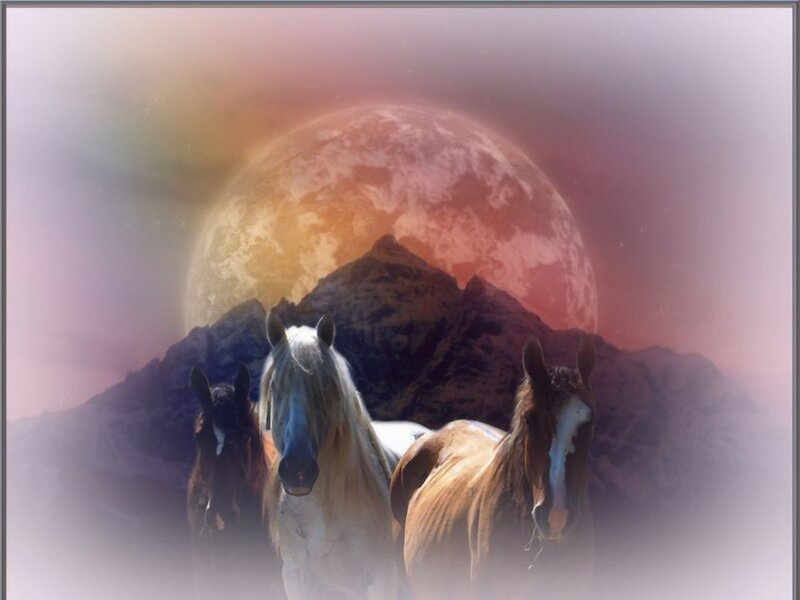 Three Horses in Front of Moon