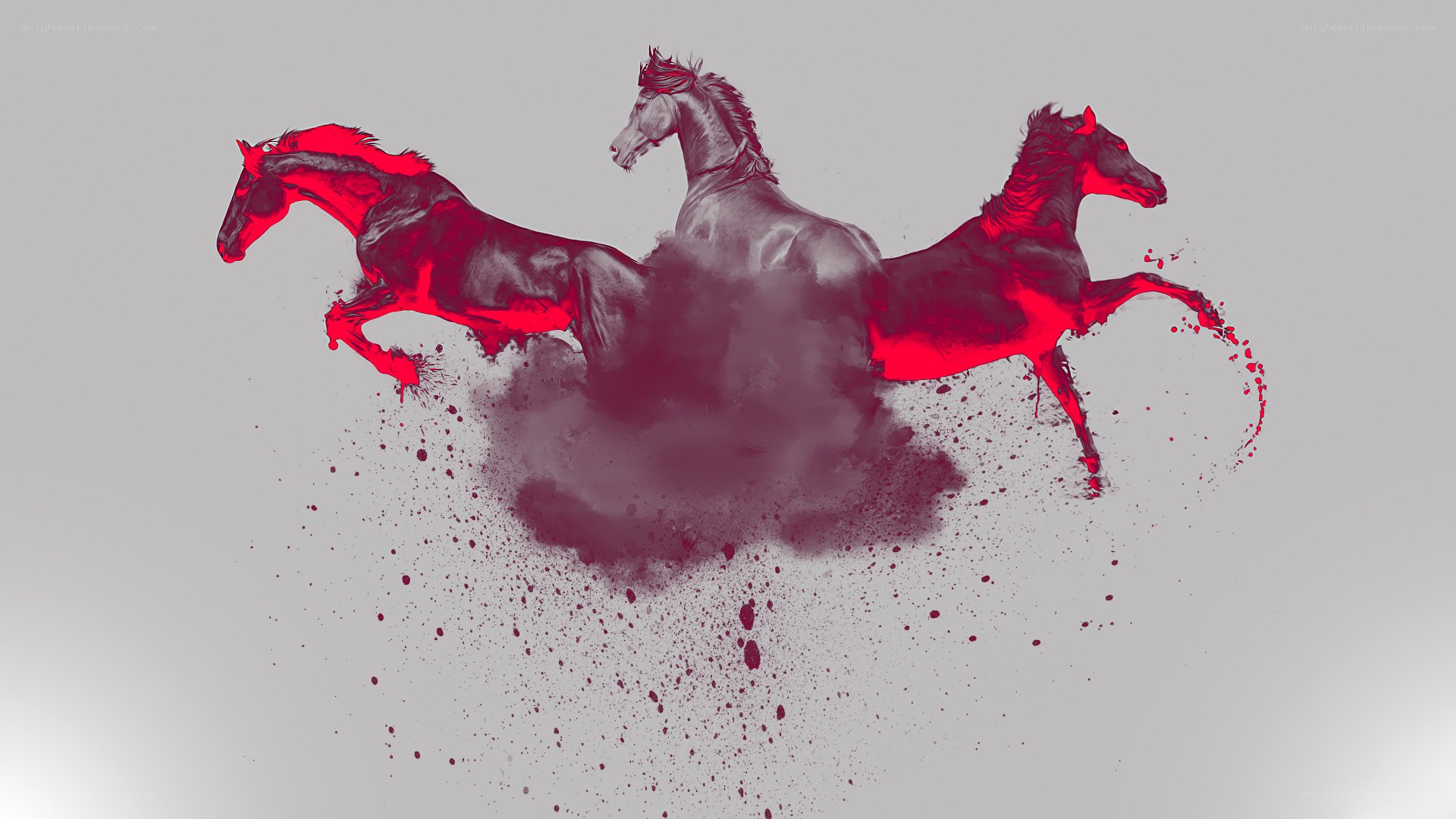 three horses in motion
