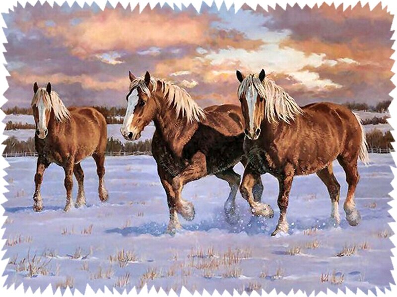 Three Horses in Snow — Brown, Dramatic