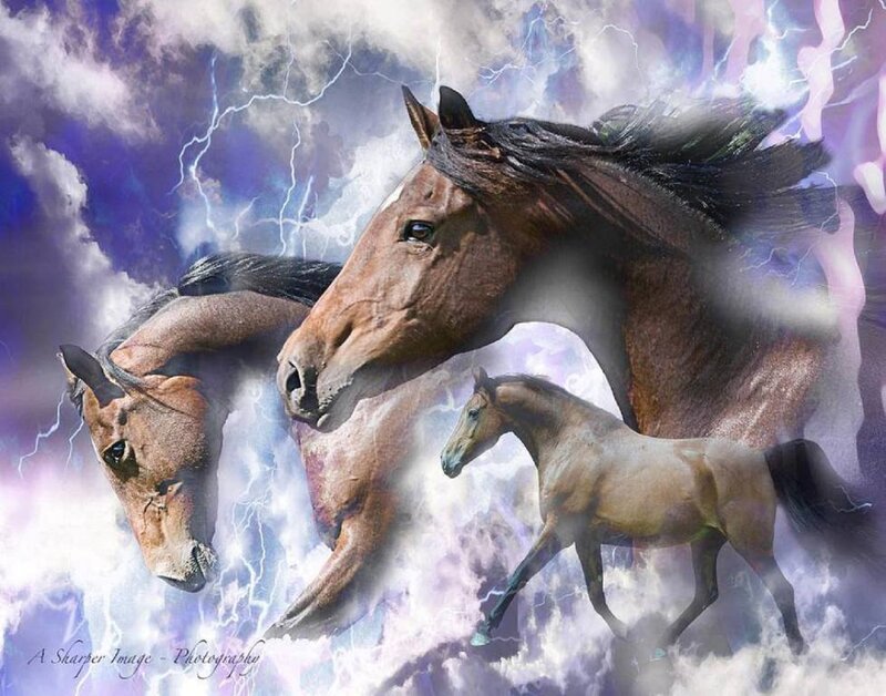 Three Horses in Storm