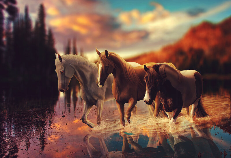Three Horses in Water — Orange