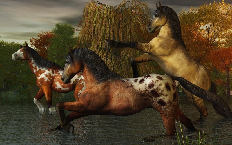 Three Horses in Water