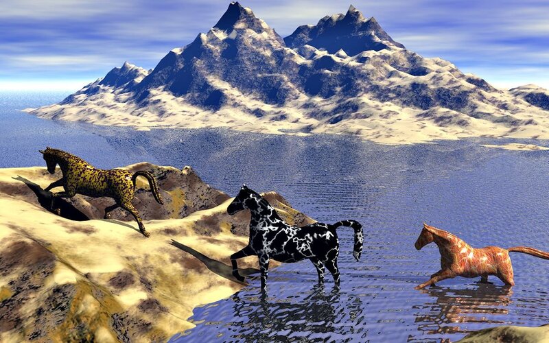 Three Horses on Rocks