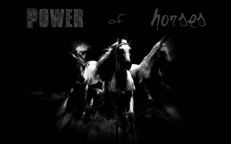 Three Horses Running — Black, Dramatic