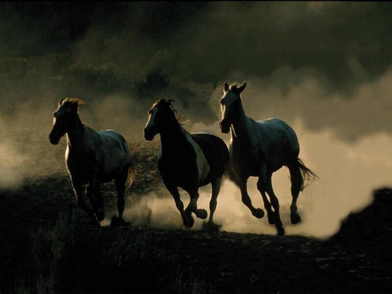 Three Horses Running — Black