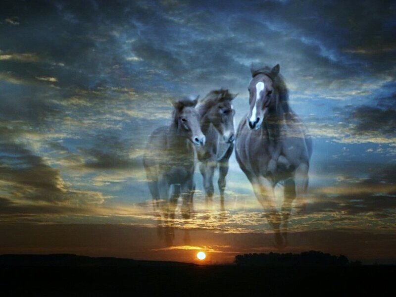 Three Horses Running — Blue, Dramatic, Sunset