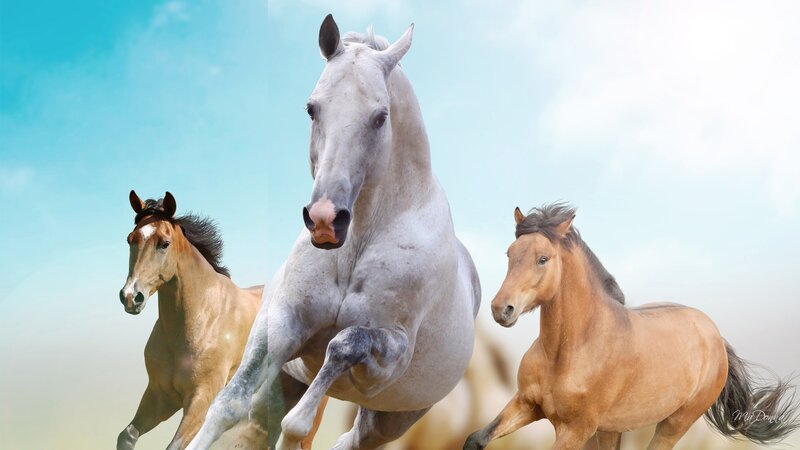 Three Horses Running — Blue, Dynamic, Afternoon