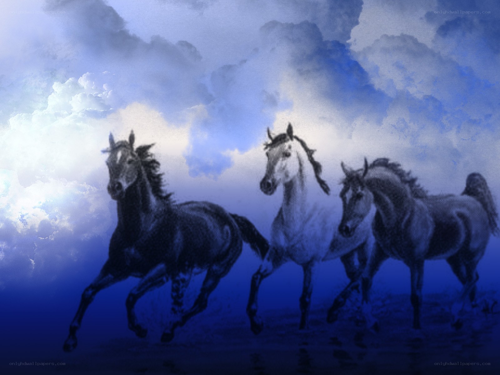 Three horses running in blue light