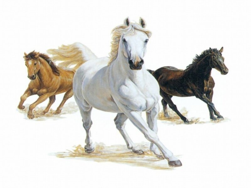 Three Horses Running — White, Dynamic, Illustration, Horse, Dust