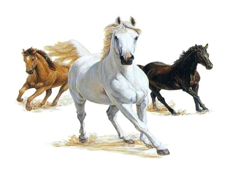 Three Horses Running — White, Dynamic, Illustration