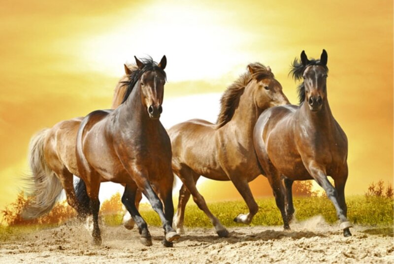 Three Horses Running — Yellow