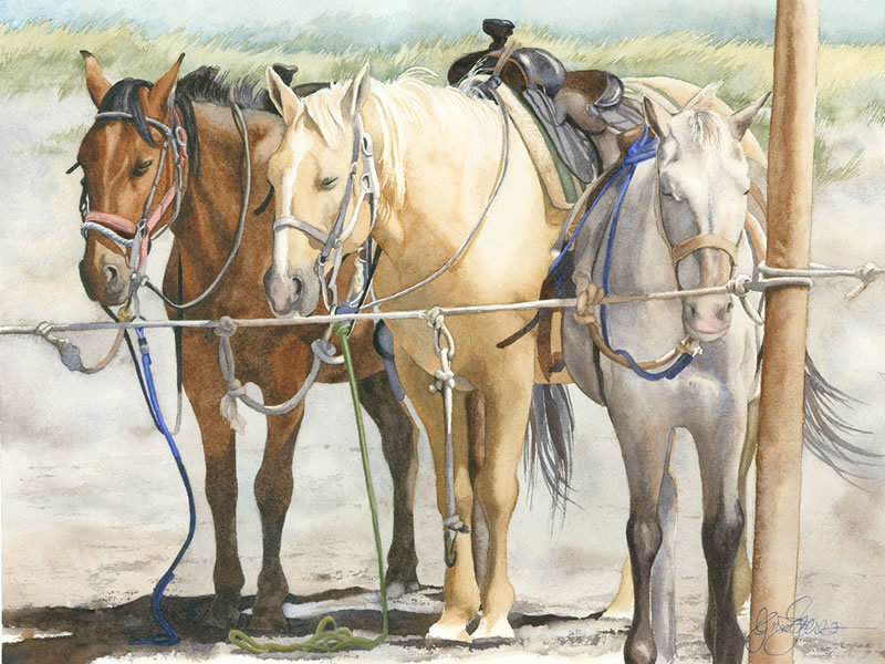 Three horses tied at a post