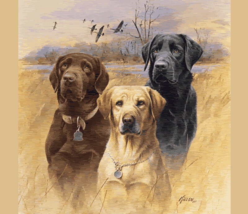 Three Hunting Dogs in Field