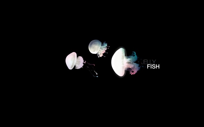 Three Jellyfish in Dark Water