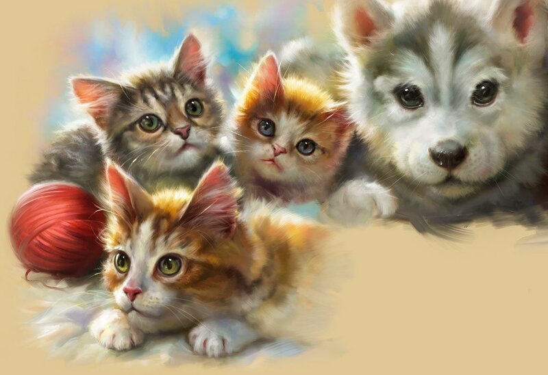Three Kittens and a Puppy